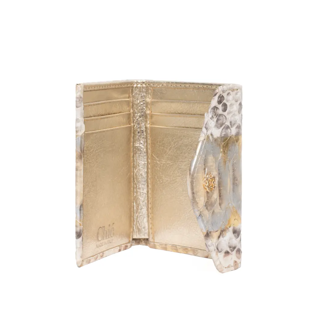 AIOFE Collections